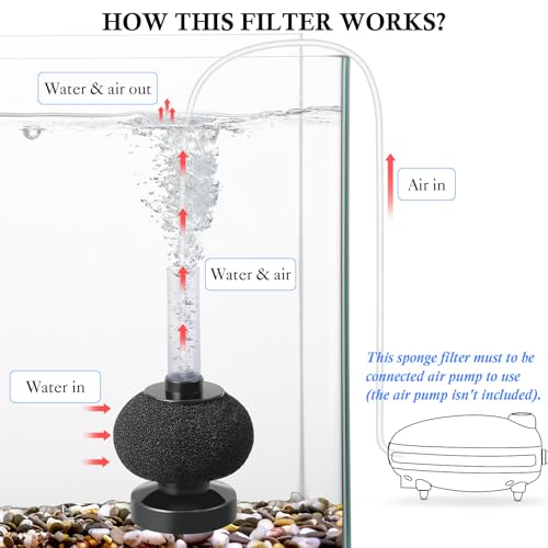 HITOP 2 Pack Aquarium Bio Sponge Filter: Diameter 2.5in Mini Air-Powered Fish Tank Filter, Quiet Small Sponge Filter for up to 15gallon Fish Tank, Betta Tank, Shrimp Tank, Fry Tank, Breeding - style: Mini 2.5in-2pack