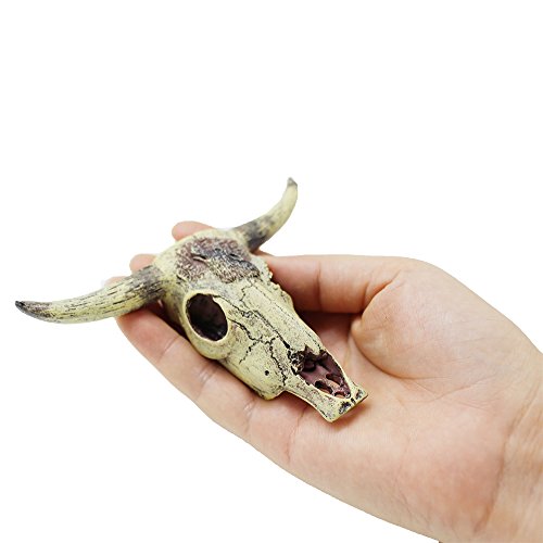 Leoyoubei Aquarium Decoration, Fish Tank Small Skull,Fish Turtle Hidden, Bonsai beautification. Cave Landscape Pet Reptile House Shrimps & Snails Love Them (Cattle Skull)