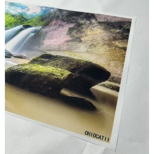 Waterfall Aquarium Background Jungle Rainforest Natural Landscape Terrarium Background Jungle Style Tranquil Stream Fish Tank Background Fall Forest Sunbeams Reptile Background 24x12in - color: Light Brown, size: 24(W)x12(H)in