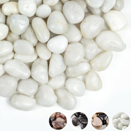 2lbs White Pebbles for Indoor Plants, 1-2Inch Natural River Rocks for Aquarium, High Polished Decorative Stones for Vase Filler Fish Tank Landscaping Garden - color: White, size: 2 Pounds