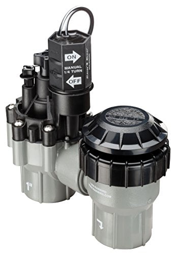 Rain Bird DASASVF100 Professional Grade Anti-Siphon Valve with Flow Control, 1" Threaded Female x Female - size: 1 Inch