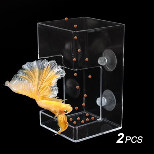 2 PCS Square Fish Feeder with Suction Cup Fish Tank Feed Tray Feeding Tube Supplies Breeder Box for Aquarium