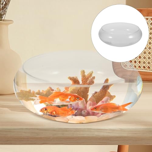 DOITOOL Clear Glass Fish Bowl 9.84 Inch Desktop Aquarium Small Fish Tank Planter for Goldfish Hydroponic Plants Home Office Wedding Decor - size: 25.00X25.00X10.00CM