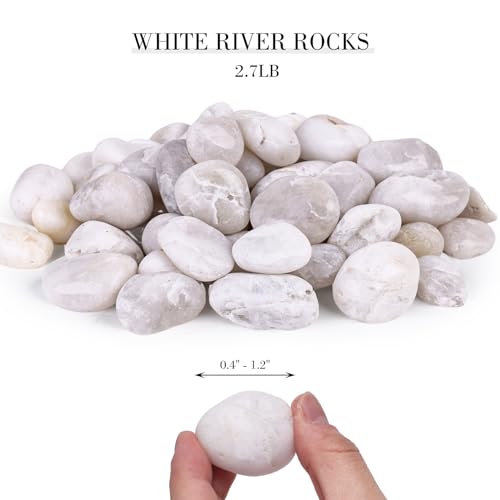 DomeStar 2.7lb White Rocks for Landscaping, White Garden Rocks Polished Pebbles Garden Stones, Pebbles for Indoor, Walkways, Yard, Plants, Aquarium Fish Tank,Vase Filler Decor