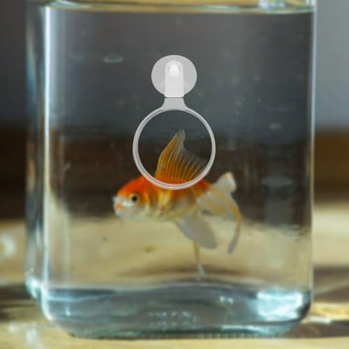 4pcs Acrylic Fish Tank Glass with Cup Enhanced Viewing for Aquariums Reptile Tanks and -Landscapes User-Friendly Design for Seniors and Clear Observation of Creatures