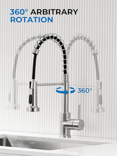 WEWE Kitchen Sink Faucet, Kitchen Faucets with Pull Down Sprayer Stainless Steel Single Handle Single Hole Brushed Nickel Commercial Industrial Spring Pull Out Laundry Farmhouse Kitchen Faucet - color: Brushed Nickel, style: Antique