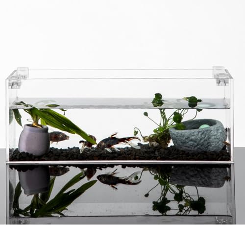 10 Pcs Aquarium Lid Clips, Clear Acrylic Fish Tank Holder Cover Clamps for Rimless Glass Top, Fishtanks Cover, Hoods Decor Fish Tank Accessories - color: Suitable for 5mm