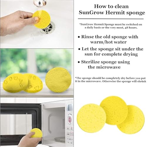 Hermit Crab Sponges for Water, 10 Pack Unbleached Hermit Crab Accessories & Supplies, Pet Crab Sponges Provide Nutrients and Maintain Tank Humidity, Water Dish Yellow Real Sea Sponges, 2" x 1"