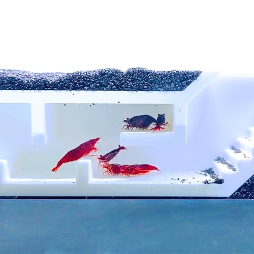 Lucky Critter Shrimp Cave Underground Maze Tunnel | Viewing Shrimp Freshwater Hide Tunnel | Aquarium Shrimp Breeding Cave Perfect for Small Shrimp, Cherry Shrimp, Dwarf Shrimp (White) - color: White