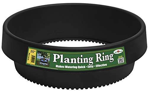 3-Pack 20-inch Rose & Shrub Planting Rings – Deep Watering Basin & Edging. - size: 20" - 3 pack