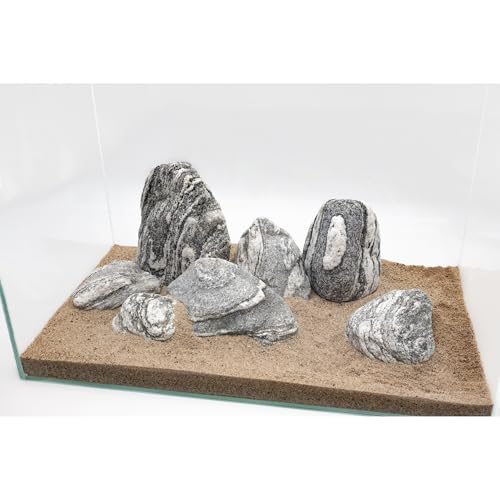 Natural Fish Tank Stones Aquarium Rocks 10lb Silver Seiryu Rock for Aquascaping, Terrariums, Bonsai, Garden Landscaping & Reptile Habitats(2-7inch 5-6Pcs) - size: 10lb (2-7inch)