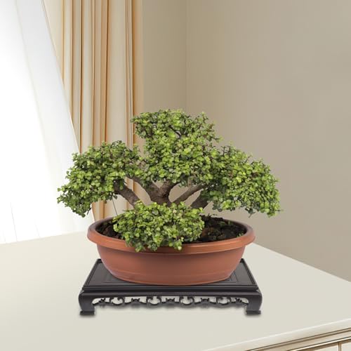 CALLARON Plastic Rectangular Flowerpot Holder and Fish Tank Pedestal Stand for Indoor Bonsai Plant Display, Sturdy Aquarium Stand Base for Home Decoration