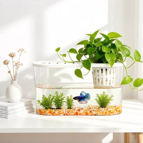 1.2 Gallon Betta Fish Tank, Desktop Aquarium with Lid & Plant Basket, Shatterproof Plastic Fish Bowl for Home Office Dorm Decor