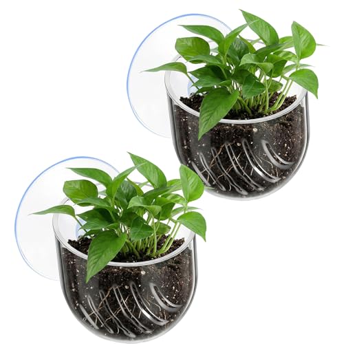 2PCS Aquarium Plant Holder, Fish Tank Plant Holder for Aquascape Decoration, Red Worm Fish Feeder, Aquarium Planter Cup with Suction Cup, Clear