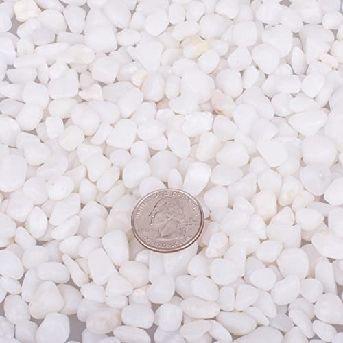 12.0 LB White Polished Pebbles 3/8", Natural Decorative Smooth River Rocks, Gravel Size White Small Pebble Stone for Succulent, Bonsai, Potted Plants, Landscaping, Fairy Garden, Aquarium - size: 12.0 LB