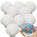 VMEECARL 20Pcs 4''-5'' Large Scallop Shells for Crafts,Natural White Sea Shells for Hand Painting, DIY Home Decor, Family Crafting Projects,Decoupage & Gift Ideas