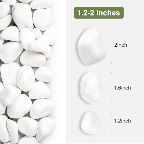 SIDONG 20 lbs White River Rocks, 1.2-2 Inches Matte Pebbles for Indoor Plants, Aquarium Rocks Used in Fish Tank, Decorative Stones for Plants, Vases, Home Décor, Crafting, Garden Landscaping - color: White, size: 20 lbs,1.2-2inch
