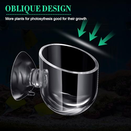 CroBlissful 30 Pack Aquatic Plant Cups with Hole Acrylic Aquatic Plant Pot with Suction Cups Transparent Suction Cup Planter Fish Tank Plant Holder for Aquarium Aquascape Decoration, 2 Styles