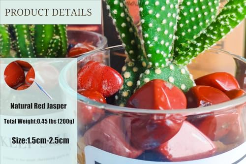 DUQGUHO Red Jasper Healing Crystals Stones Set Natural Tumbled Polished Irregular Pebble Stones Fish Tank Rocks 0.45 lbs - color: 06 Red Jasper