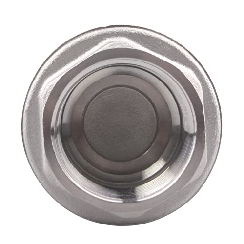 1 Inch Vertical Check Valve SUS304 Spring Loaded Check Valve in-line Low Cracking Pressure CF8M WOG 1000… - size: 1 Inch, style: Spring