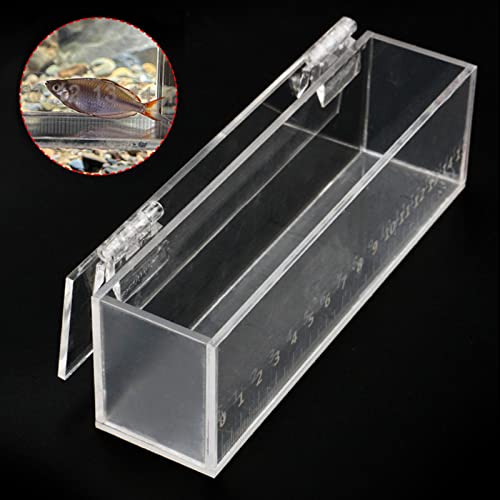 Fish Viewing Box Acrylic with Lid - Mini Aquarium & Breeder (6.3x1.6x2.1 inch) Portable Safe Hatching Box with Scale