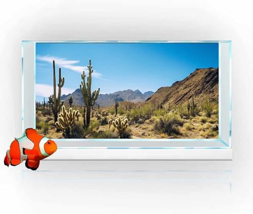Reptile Habitat Background, Retro Desert Oasis Cactus Terrarium Background 30X12 in Background with 8 EVA Double-Sided Tape - color: desert01, size: 30X12in/75X30cm