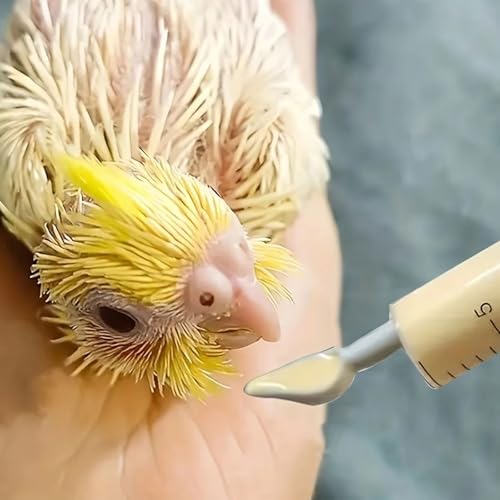 Baby Bird Feeding Syringe Set, Pet Parrot Milk Feeding Syringe with Tubes, Parrot Feeding Tubes Measuring Tools for Feeding Pets Scientific Industrial Labs… (10ml+20ml+60ml) - color: 10ml+20ml+60ml