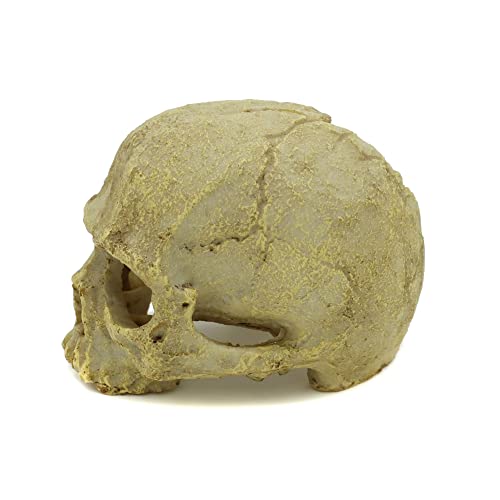 JIHAQUA Aquarium Resin Skull, Reptile Tank Accessories Ornament Basking Snake Hide Decor Habitat
