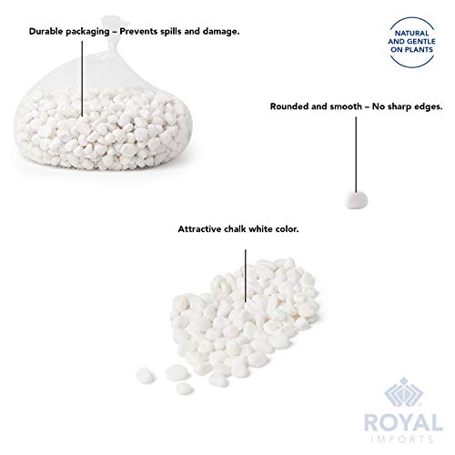 River Rocks Decorative Ornamental Vase Filler 1"-1.5" White Aquarium Gravel 5 lbs - Landscaping Pebbles for Indoor Plants, Fish Tank Gravel, Terrarium& Home Decor, DIY & Crafting – Royal Imports - size: Medium - 5 lbs, style: White