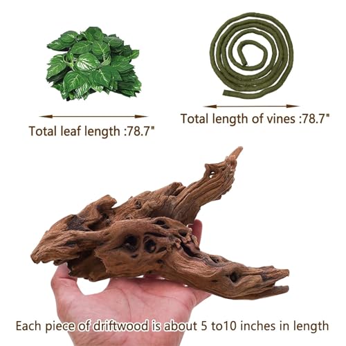 Hamiledyi Reptile Driftwood Branch Decor Terrarium Ornament Wood Climbing Natural Aquarium Driftwood Decoration for Snake Bearded Dragon Leapord Gecko Lizard Iguana