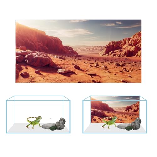 COMSUN 3 Pack Terrarium Background, 36x18 inches Polyester Reptile Background, Cloth Terrarium Backgrounds, Gobi Sunshine Cactus Stone & Green Tree Fern Stream Backgrounds - size: 36x18 Inch
