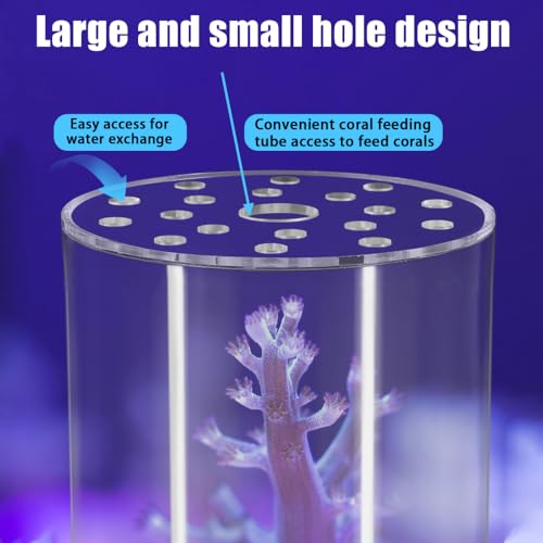 DONGKER Coral Feeder Cover, Transparent Acrylic Coral Breeding Protection Cover Avoid Food Floating Around for Aquarium Fish Tank(80mm,100mm,120mm) - size: CFC-120