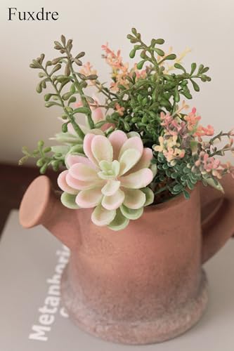 2-Pack Artificial Succulent Plants in Vintage Pots - Waterproof Fake Plants for Home Office Desk Decor - Low Maintenance Indoor Greenery for Bathroom Shelf Table - color: Succulent-c-2pcs