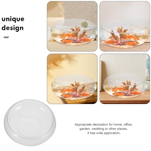 DOITOOL Clear Glass Fish Bowl 9.84 Inch Desktop Aquarium Small Fish Tank Planter for Goldfish Hydroponic Plants Home Office Wedding Decor - size: 25.00X25.00X10.00CM