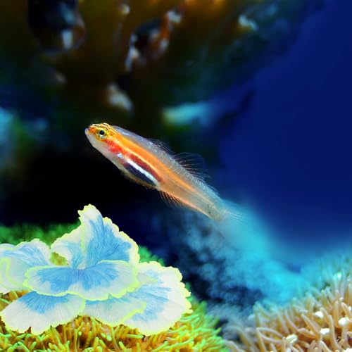 Cabilock Fish Tank Adornment Vivid Aquatic Plant Decor Blue Silicone Plastic Water Grass Ornament for Aquarium Landscape Decoration