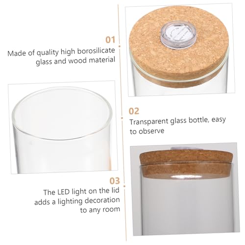 Ciieeo 1Pc Mini Glass Ecosystem Bottle with LED Light Creative DIY Micro Landscape Terrarium Holder for Fish Plants and Flowers Decorative Glass Jar for Home - size: 11X8.2X8.20cm