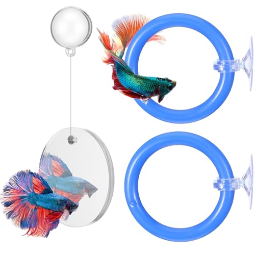 2 PCs Fish Feeding Ring with 1 Floating Mirror, Betta Ring Enrichment Toys, Exercise Training Rings and Betta Mirror for Tank Beta Fish Toys Beta Floating Aquarium Decor