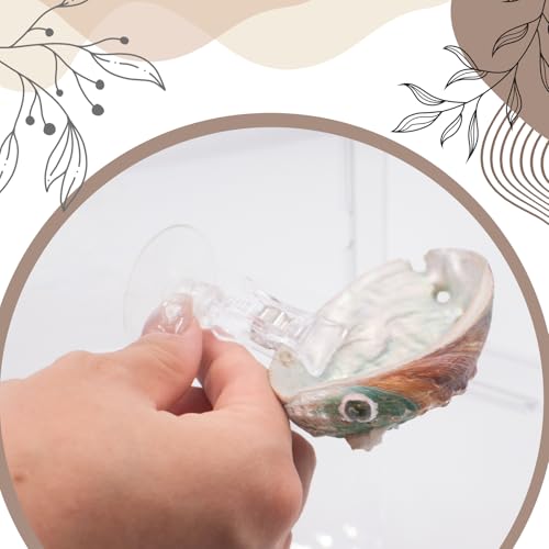 3 PCS Natural Shell Betta Fish Resting Spot, Betta Hammock Small Shell Bed with Suction Cups, Natural Habitat Breeding Spawning Ground for Betta, Shrimp, Aquarium Accessories Decorations