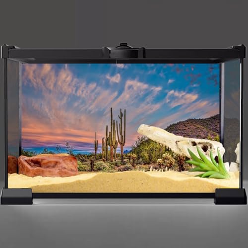 AWERT 72x24 inches Terrarium Background Blue Sky Cloud Huge Cactus Oasis Gobi Reptile Habitat Background Vinyl - size: 72x24in/180x60cm