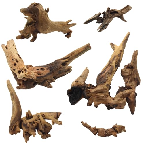Driftwood for Aquarium Decor, Fish Tank Decor, 6 Pcs Reptile Branches, Drift Wood for Fishtank, Aquarium Hardscape, Crafts, Betta Fish Decor, Reptiles Driftwood Branch (Driftwood 2-8 Inch (Pack of 6)) - size: Driftwood 2-8 Inch (Pack of 6)