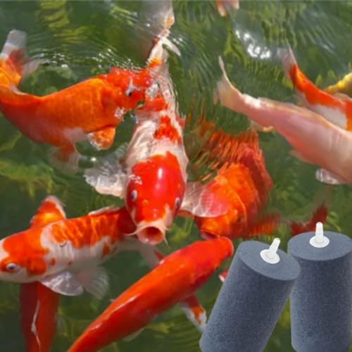 Large Air Stone, Air Stone Hydroponics, 4 x 2 Inch Large Air Stone Cylinder Bubble Diffuser for Aquarium, Fish Tank, Pond and Hydroponics Air Pump, Growing System, Circulation - color: 6-Pack