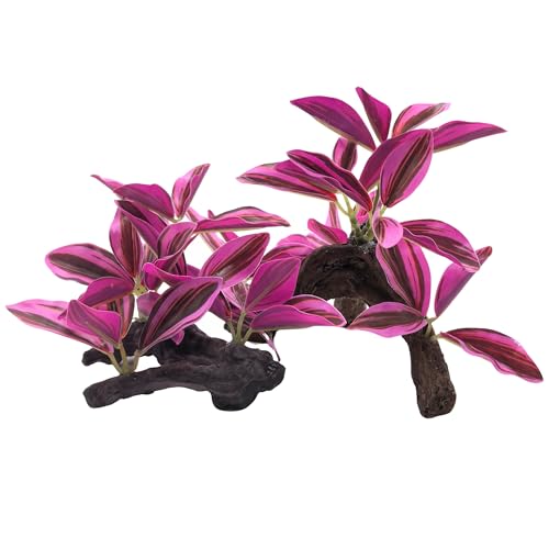 M2cbridge Fish Tank Plastic Soft Grass Artificial Betta Water Plants Decoration Goldfish Hide 2pcs (Purple) - color: Purple