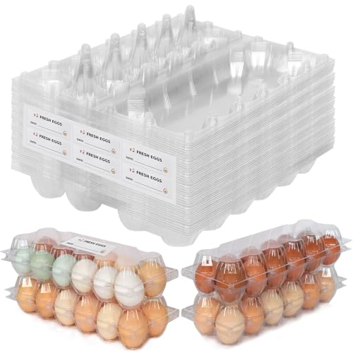 SINLUCESCE 60 Packs 12 Count Clear Egg Cartons, 2 * 6 Grids Design, Perfect for Family, Farm, Markets, Display(Large) - size: 2x6, L