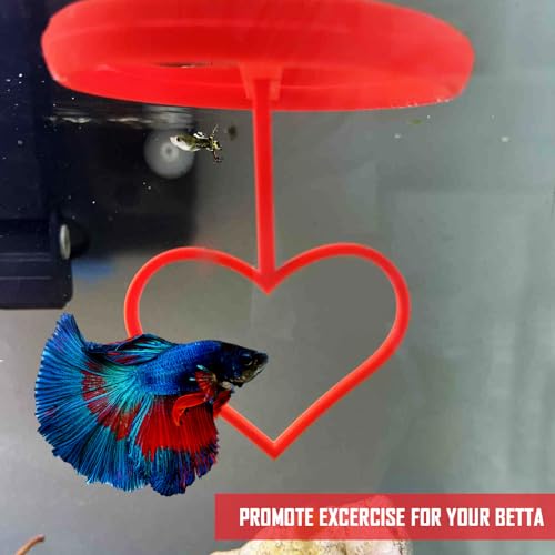 Floating Heart Betta Training Ring, Heart Active Betta Training Ring, Floating Feeder, Enrichment Toys for Aquarium Decor, Pink, 3.8in x 3.7in (Red, Single) - color: Red, size: Single