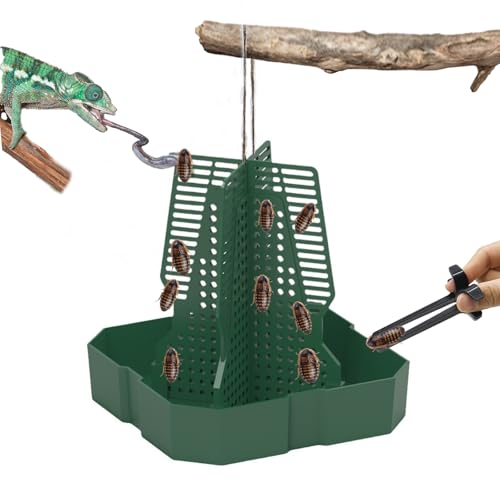 Chameleon Feeder Bearded Dragon Feeder for Mounted Insect with Rope and Tweezers, Tank and Aquarium Accessories for Lizard, Bearded Dragon, Gecko, Frog（Large） - size: Large
