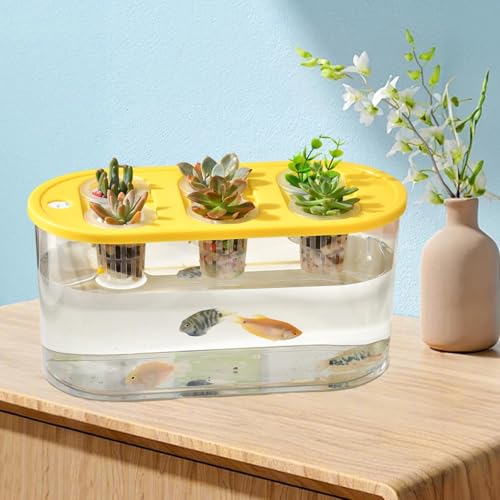Hydroponic, Hydroponic System, Planting Container, 6 Holes, Indoor Tabletop Mini Aquarium for Plants and Fish, Yellow - color: Yellow