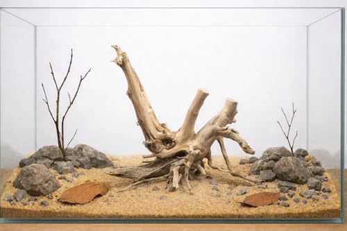 Azil spiderwood Natural Aquarium - size: Spiderwood 10'' - 14''
