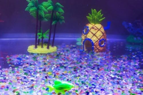 1100 Pcs Glow Stones Glowing in The Dark Pebbles Outdoor Decor Fish Tank Gravel Rocks Decoration (Pink in Daytime, Purple in The Dark) - color: Purple, size: 1100