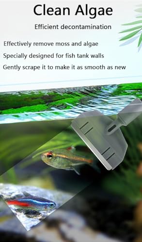 6-in-1 Aquarium Cleaning Tools Fish Tank Cleaning Kit with Long Handle, Algae Scraper,Flat Cleaning Pad,Right-Angle Cleaning Pad,Fish Net, Gravel Rake