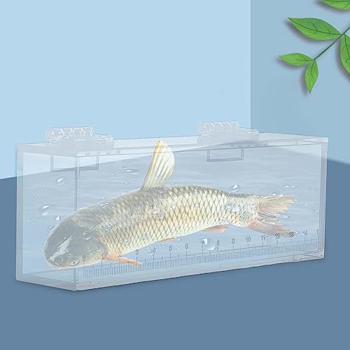 MagiDeal Fish Viewing Box, Fishing Hatching Incubator, Acrylic Fish Egg Breeding Case, Aquarium Tank Isolation Breeder, L - size: L